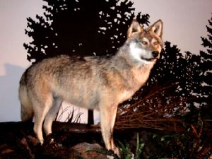 3dpa vendredi mat 055